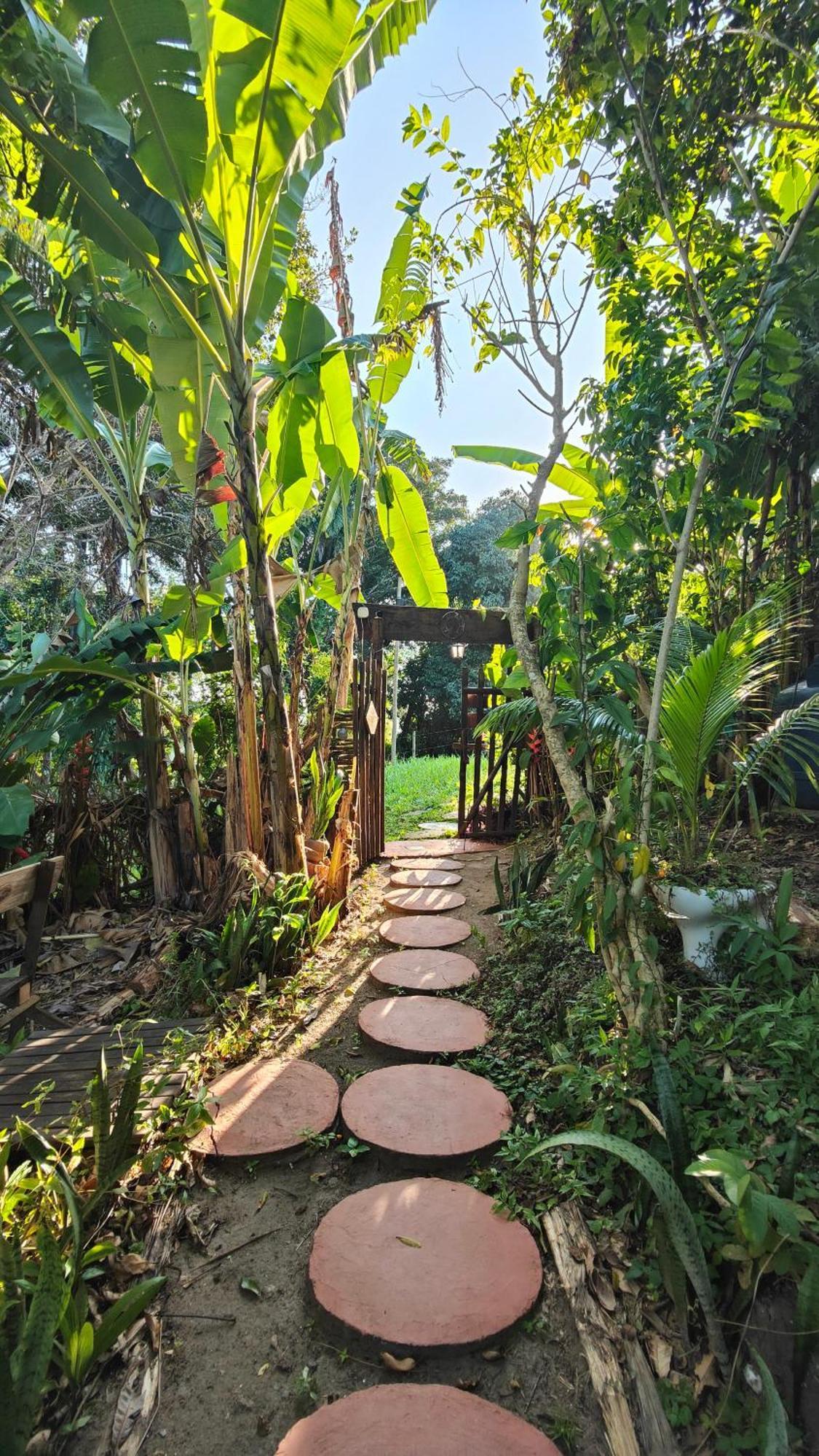 Eco Hostel Bosque Di Barro Velha Boipeba 外观 照片